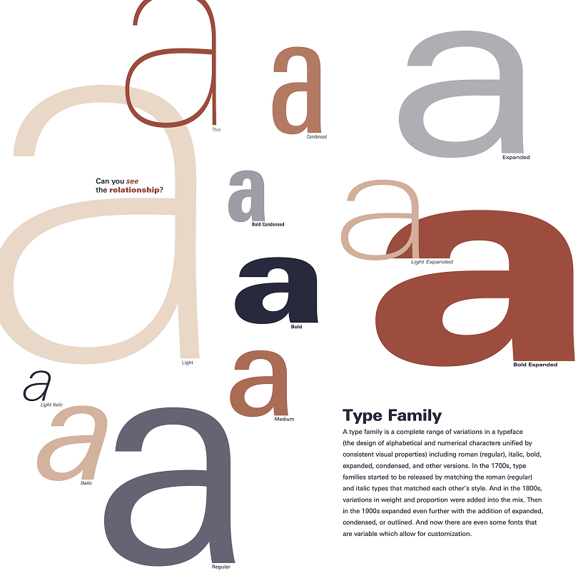 Type Family